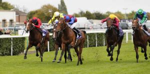 newbury racecourse fixtures|Horse Racing Fixtures 2023 In The UK .